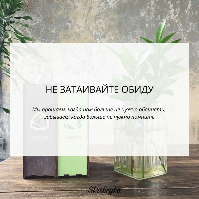 Не мешай себе жить — Ольга Скребейко